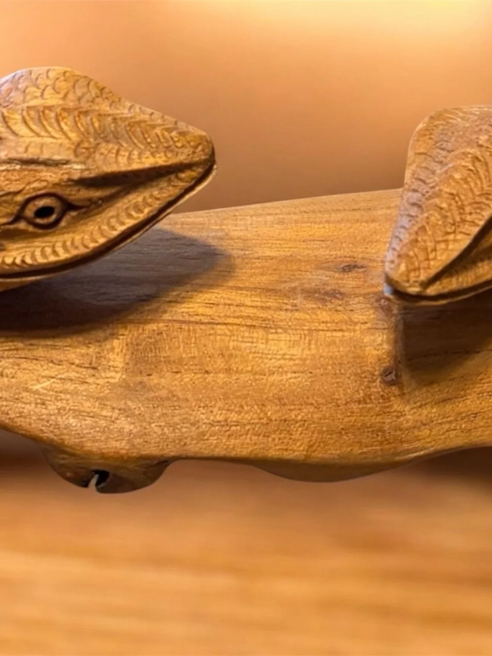 Carved Wood Lizard Wall Sculpture in Warm Brown